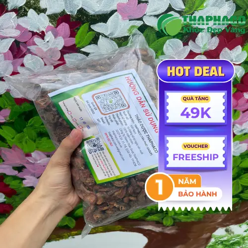 Đối tượng cần lưu ý khi dùng trà táo mèo