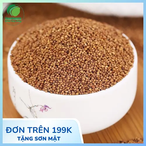 Sử dụng Thỏ Ty Tử an toàn và hiệu quả