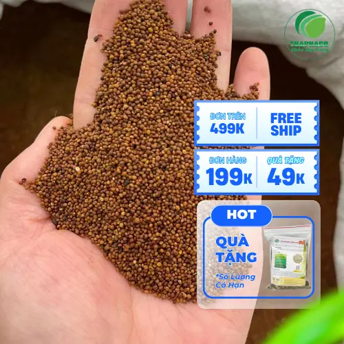 Hình ảnh các câu hỏi thường gặp về thảo dược Thỏ Ty Tử