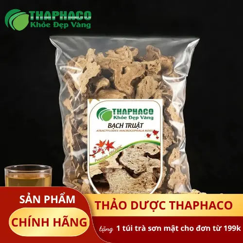 Bạch Truật có thể hỗ trợ an thai theo Y học cổ truyền