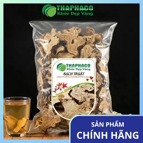 Bạch Truật khô chất lượng cao tại THAPHACO