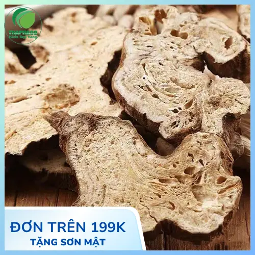 Bạch Truật khô được đóng gói cẩn thận tại THAPHACO