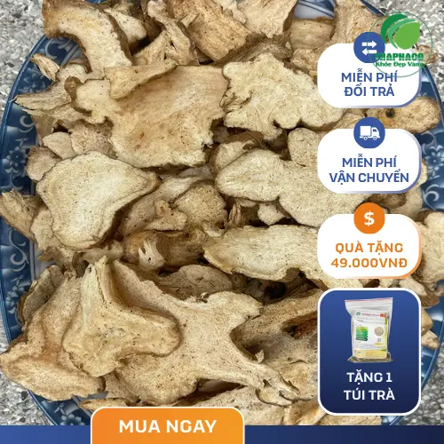 Bạch Truật khô nguyên bản tại THAPHACO