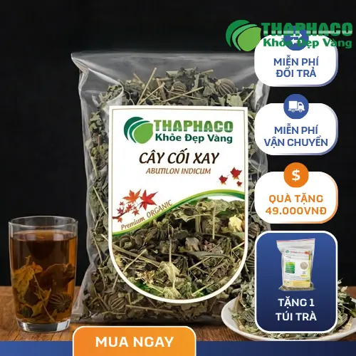 Hình ảnh tổng quan cây Cối Xay với thân, lá, hoa và quả