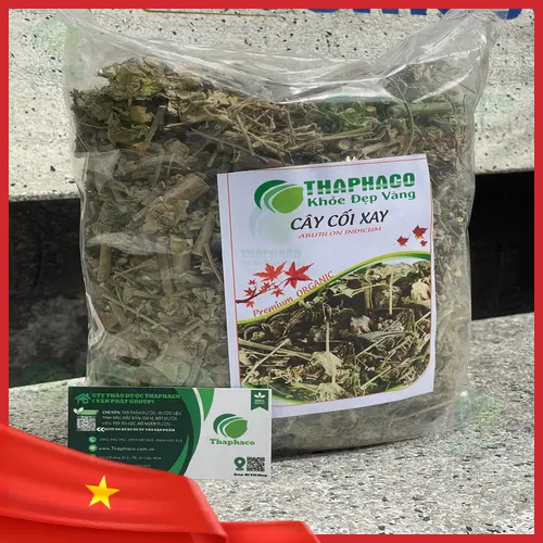 Cành cây Cối Xay tươi xanh với hoa vàng và quả non