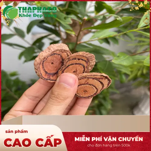 Kê Huyết Đằng được thái lát và phơi khô