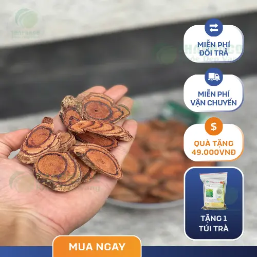 Kê Huyết Đằng dạng thân gỗ