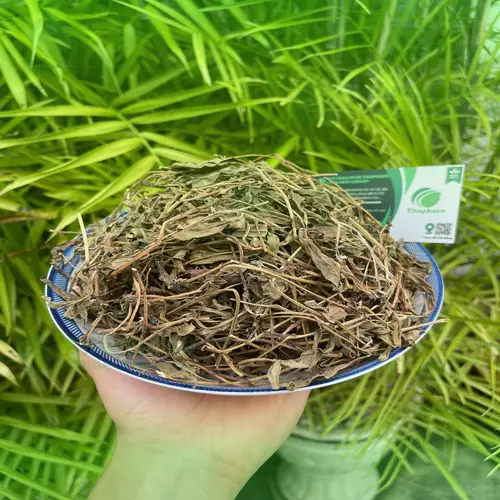 Lưu ý khi dùng sài đất