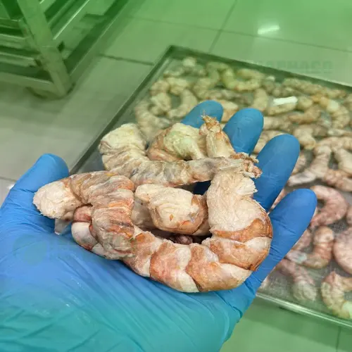 Tôm sấy thăng hoa chất lượng cao đóng gói tiện lợi