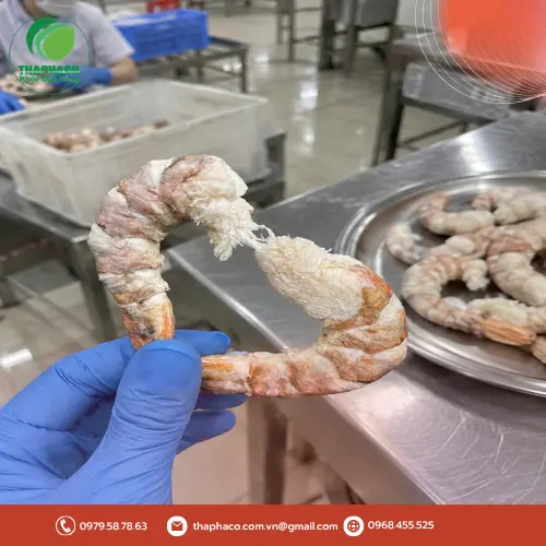 Quy trình sản xuất tôm sấy thăng hoa khép kín