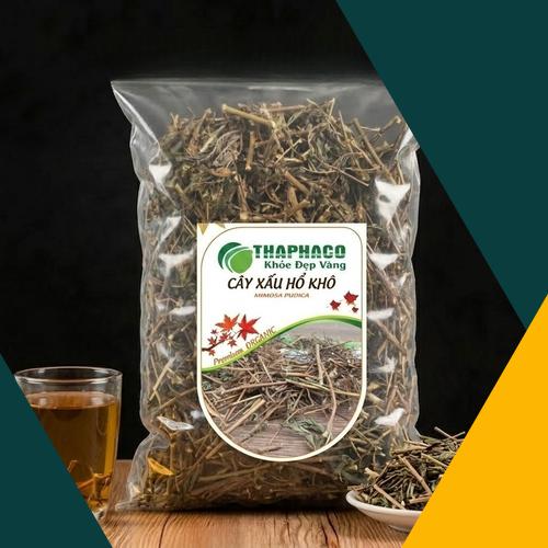 Cây xấu hổ tươi nguyên chất tại Thảo Dược Tươi