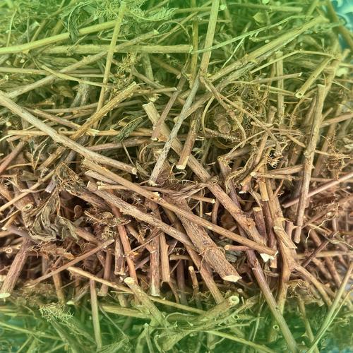 Dược liệu cây xấu hổ khô chuẩn chất lượng