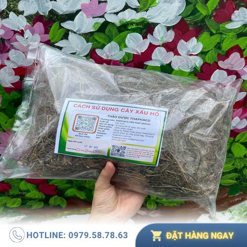 Sơ chế cây xấu hổ sạch sẽ, an toàn