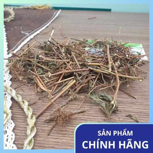 Bảo quản cây xấu hổ khô đúng cách