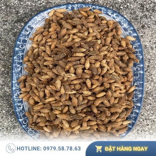 Quy trình kiểm tra và bảo quản ké đầu ngựa khô