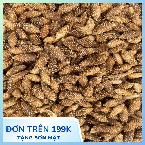 Sản phẩm ké đầu ngựa khô đóng gói tiện lợi