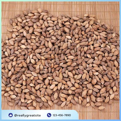 Hướng dẫn sử dụng ké đầu ngựa khô
