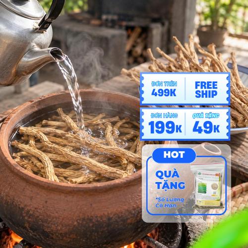 Rễ cây phòng phong dạng cọng dài nguyên vẹn