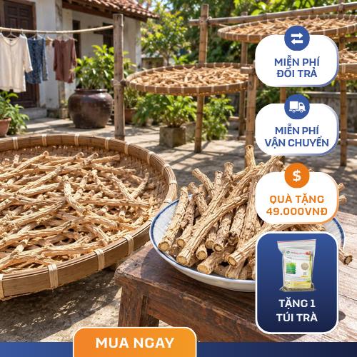Dược liệu phòng phong khô nguyên chất