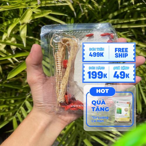 Set canh hầm gà đóng gói tiện lợi