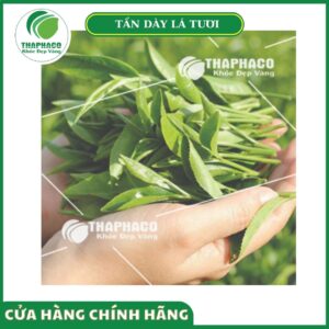 Lợi ích nhận được khi mua sản phẩm tại Thaphaco