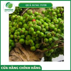 Giá bán của quả sung tươi Thaphaco