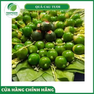 Giá bán quả cau tươi cao cấp Thaphaco
