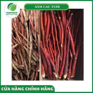 Giá bán sâm cau tươi cao cấp