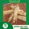 Sản phẩm đương quy tươi cao cấp của Thaphaco