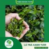 Giới thiệu sản phẩm lá trà xanh tươi Thaphaco
