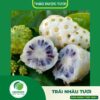 Giới thiệu sản phẩm trái nhàu tươi cao cấp Thaphaco