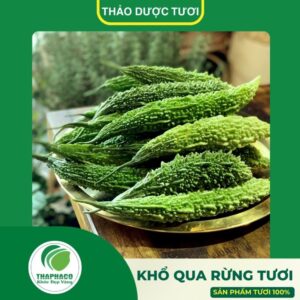 khổ qua rừng tươi cao cấp của Thaphaco