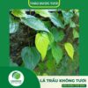 Sản phẩm lá trầu không tươi cao cấp của Thaphaco