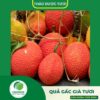 Sản phẩm quả gấc già tươi cao cấp của Thaphaco