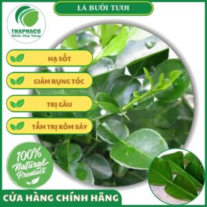 Sản phẩm lá bưởi tươi của Thaphaco
