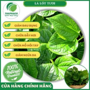Một số cách sử dụng lá lốt tươi tại nhà