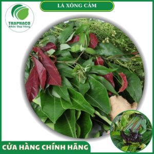 Sản phẩm lá xông cảm của Thaphaco