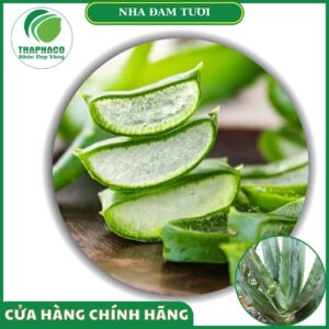 Sản phẩm nha đam tươi của Thaphaco