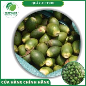 Sản phẩm quả cau tươi của Thaphaco