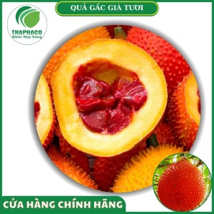 Sản phẩm quả gấc già tươi của Thaphaco