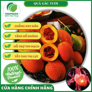 Công dụng của quả gấc tươi