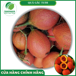Sản phẩm quả gấc tươi của Thaphaco