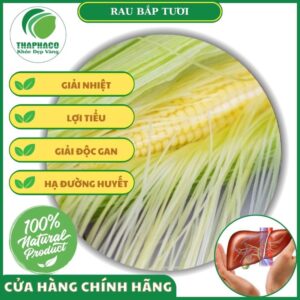 Một số bài thuốc dân gian từ rau bắp tươi