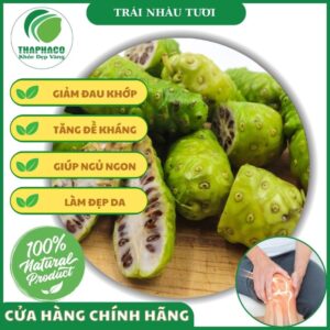 Công dụng của trái nhàu tươi đối với sức khỏe người dùng
