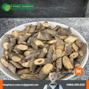 1kg Cây An Xoa Giá Bao Nhiêu? Báo Giá Mới Nhất 2024