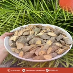 Địa chỉ bán cây an xoa chất lượng tại TP.HCM