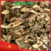 Ưu đãi mua 1 tặng 1 khi mua bạch đồng nữ tại THAPHACO