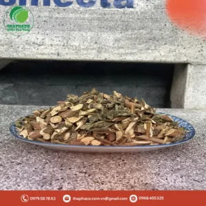 Địa chỉ cung cấp sỉ lẻ bạch đồng nữ khô giá tốt