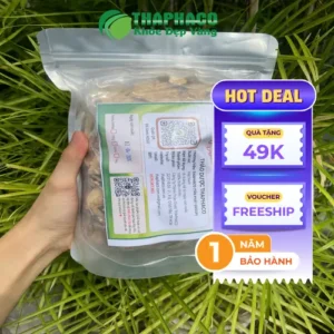 Địa Chỉ Cung Cấp Sỉ Bạch Truật Khô Giá Tốt, Chuẩn Dược Liệu
