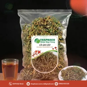 Cà Gai Leo Sấy Khô 1kg: Giá Tốt, Chất Lượng Hàng Đầu TP.HCM